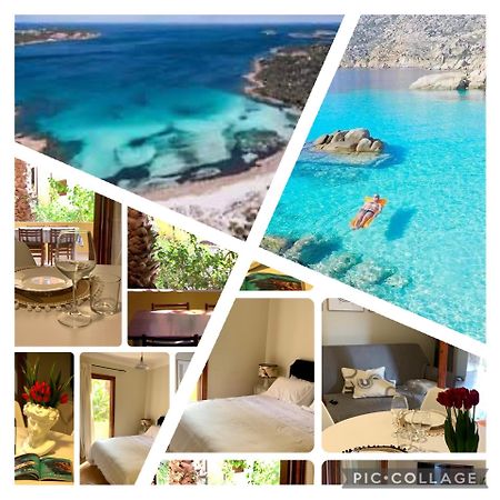 Nest House - Esclusivo Appartamento Marina Di Olbia- Mater Olbia - Beaches - Close To The Airport - Private Parking- Full Comforts - 外观 照片