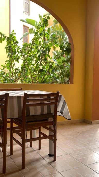 Nest House - Esclusivo Appartamento Marina Di Olbia- Mater Olbia - Beaches - Close To The Airport - Private Parking- Full Comforts - 外观 照片